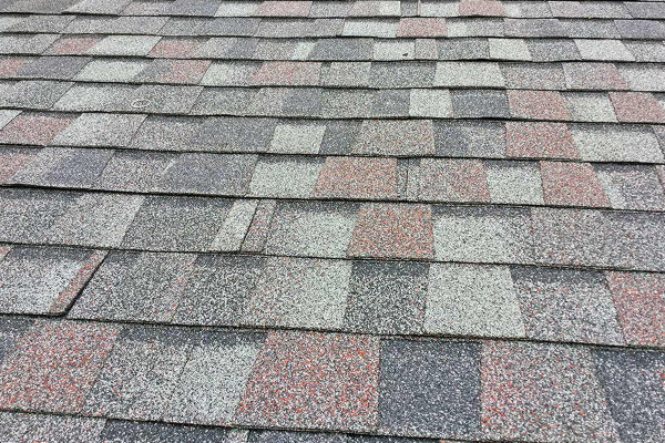 Shingle roofing